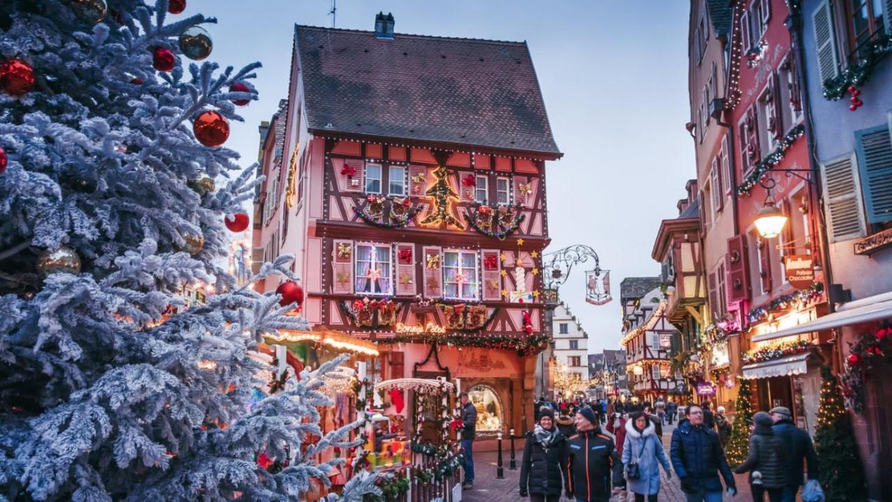 Colmar - Le Nichoir - Centre Historique - Parking Gratuit - Box Velo & Poussette Leilighet Eksteriør bilde